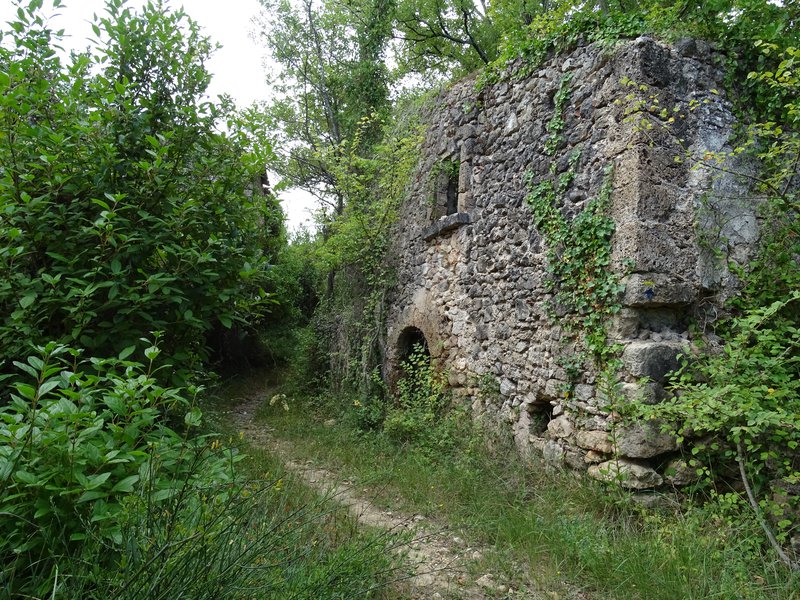 Vestiges d'une habitation en pierres au milieu de la végétation verdoyante