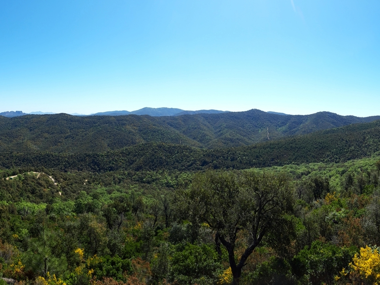 Panorama sur les différentes collines arborées de la forêt des Arcs-sur-Argens