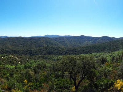 Panorama sur les différentes collines arborées de la forêt des Arcs-sur-Argens