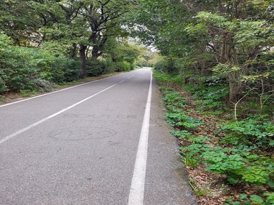 Vue sur la piste cyclable bordée de végétation
